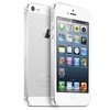 Apple iPhone 5 64Gb white - Берёзовский